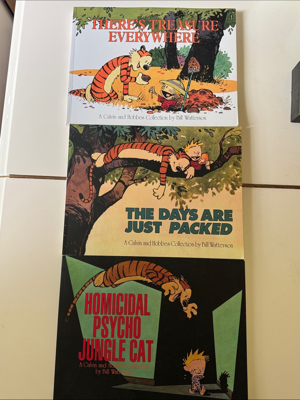 Calvin and Hobbs Collection Lot